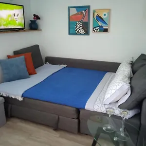 https://apartamento-trini.in-canary-islands.com